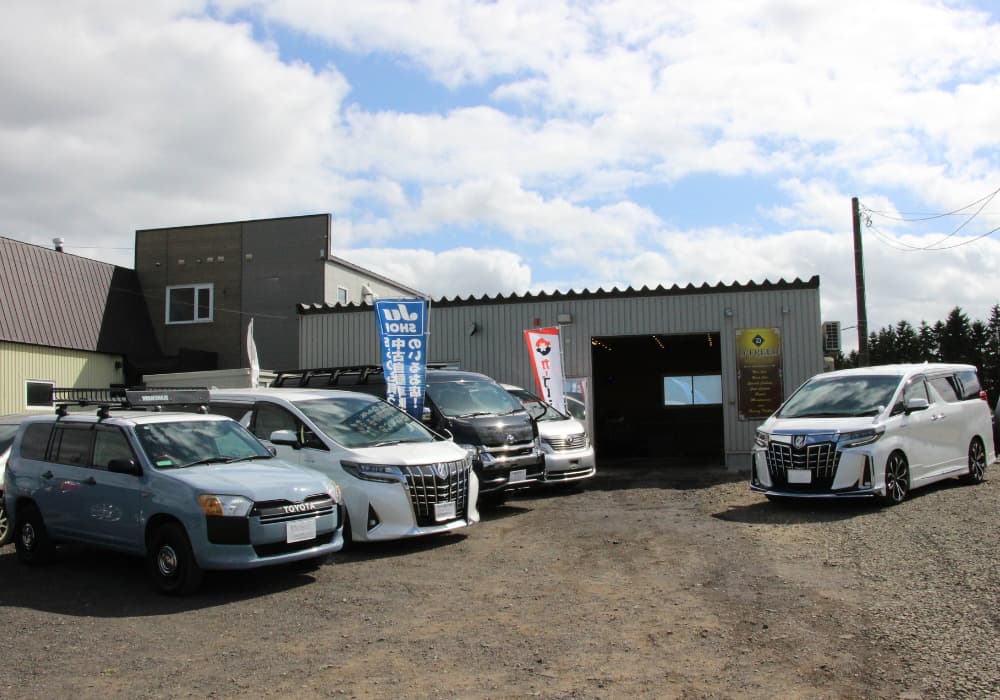 札幌市東区にある自動車会社D-FREEDの店舗